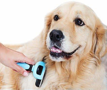Pet Grooming Brush